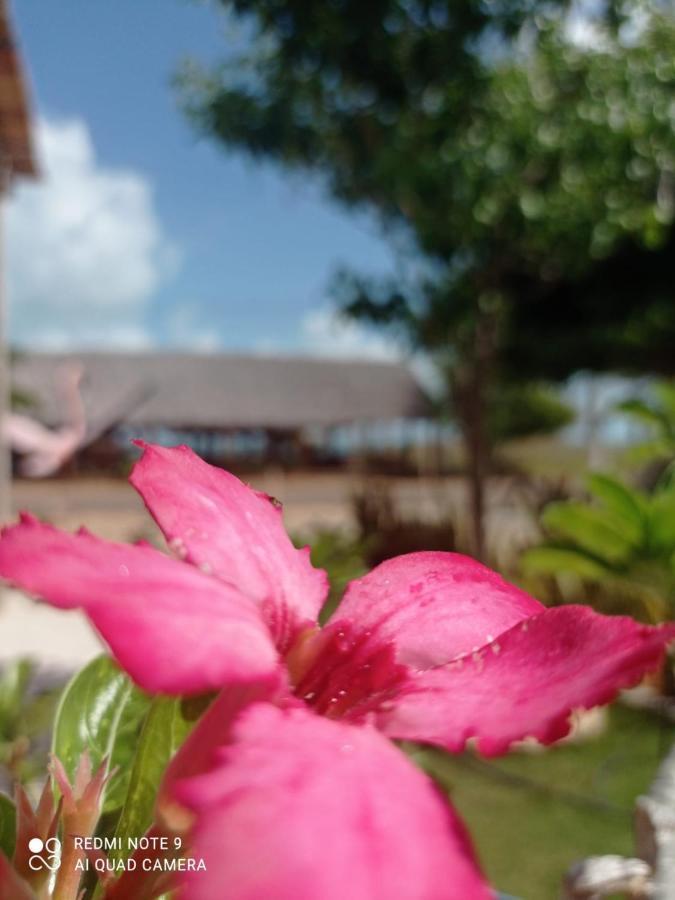 Pousada E Restaurante Do Francisco Icapuí Dış mekan fotoğraf